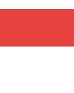 Bandiera: Soletta