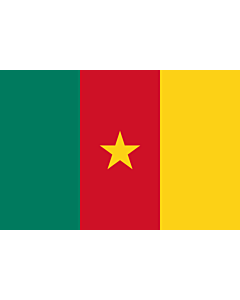 Drapeau: Cameroun
