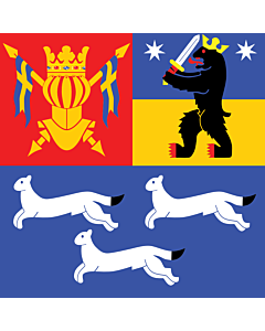 Bandiera: Finlandia occidentale