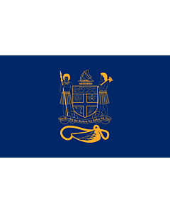 Fahne: Flagge: Presidential Standard of Fiji | Standard of the President of Fiji bearing the full Coat of Arms of Fiji and a traditional Knot and Whale s tooth in Golden-Yellow
