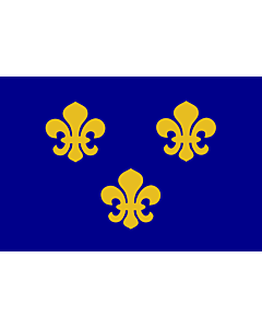 Bandiera: Medieval France | Present day s Île-de-France In 1328, the coat-of-arms of the House of Valois was blue with gold fleurs-de-lis bordered in red