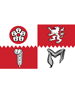 Fahne: Flagge: Leicestershire