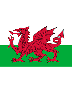 Bandiera: Galles