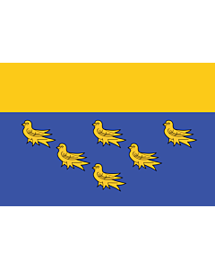 Fahne: Flagge: West Sussex