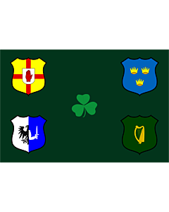 magFlags Large Flag IRFU flag first made public in 1925 comprised of the traditional four provinces of Ireland shields and other older elements landscape flag 14.5sqft 90x150cm 1.35m² 