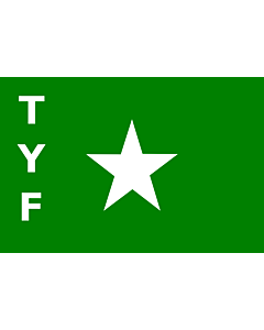 Fahne: Flagge: TYF
