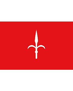Bandiera: Provincia di Trieste