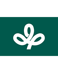 Bandiera: Prefettura di Miyagi