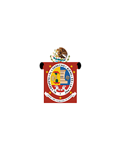 Fahne: Flagge: Oaxaca