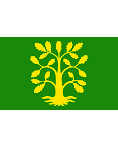Bandiera: Vest-Agder