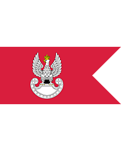 Bandiera: Polish Land Forces | Polish Ground Forces flag. Adopted in 1993 | Wojsk Lądowych. Wprowadzona w 1993