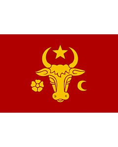 Fahne: Flagge: Moldavia | En Moldavia in the 14th-15th century