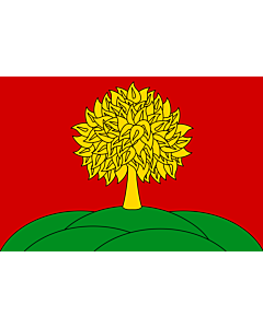 Bandiera: Lipetsk Oblast
