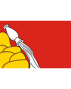 Bandiera: Voronezh Oblast