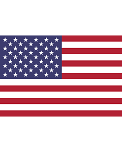 Bandiera: Stati Uniti
