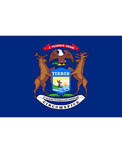Bandiera: Michigan